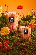 CORAL PEARLS - Bougie Max24 / BAOBAB Collection