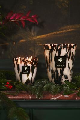 BLACK PEARLS - Bougie Max24 / BAOBAB Collection