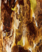 HALONA YELLOW WOLD - Bougie Grande / BAOBAB Collection