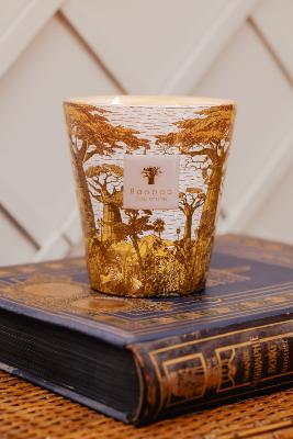  SACRED TREES BOUNKANI - Bougie Max24 / BAOBAB Collection